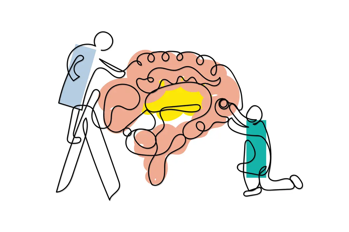 cerebro reparado por personas