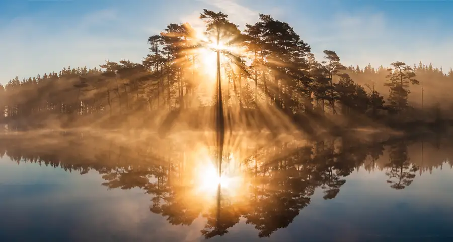 naturaleza en calma